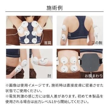 【再値下】エステマシン　本格痩身　EMS　美品　プロケア２　送料無料 再値下】エステマシン 本格痩身 EMS 美品 プロケア2 送料無料