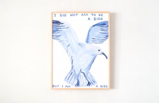 David Shrigley / I DID NOT ASK TO BE A BIRD
