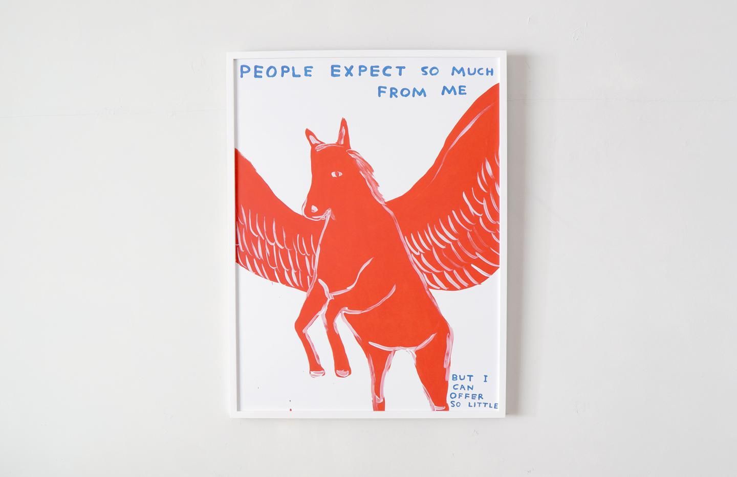David Shrigley / PEOPLE EXPECT SO MUCH FROM ME - イラスト