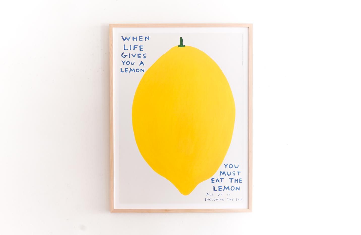 David Shrigley / WHEN LIFE GIVES YOU A LEMON - イラスト