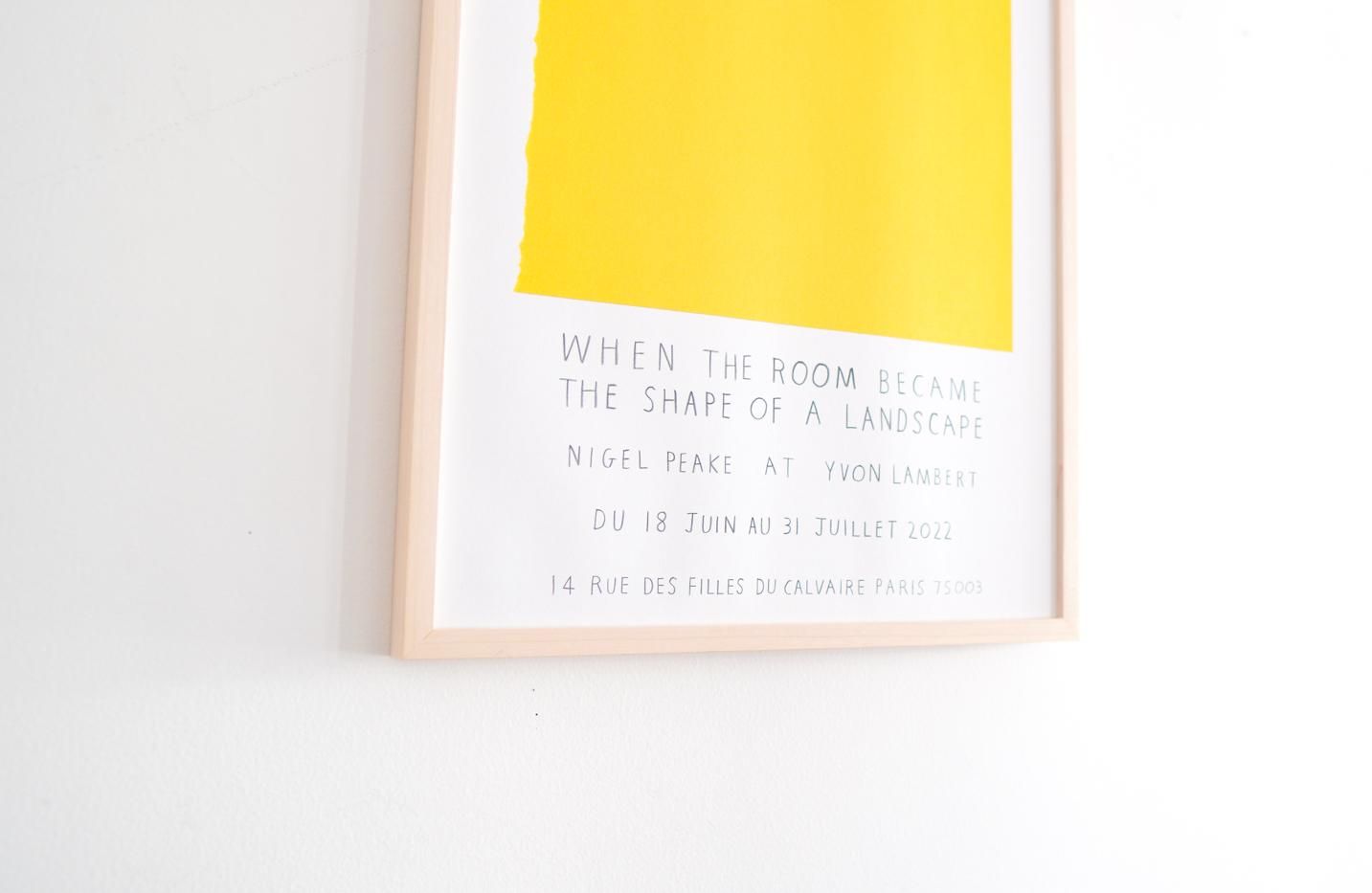 Nigel Peake / When the room became the shape of a landscape