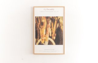 CY TWOMBLY : A SURVEY OF PHOTOGRAPHS, 1954 - 2011
