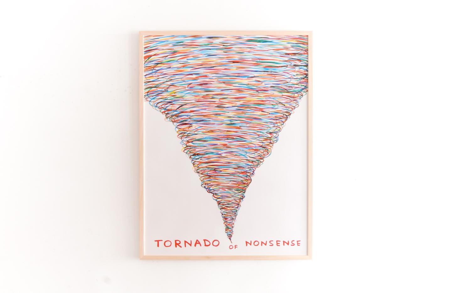 額装済み★David Shrigley ポスター 額装済ポスター: DAVID SHRIGLEY: I Wish The Clouds Were Not