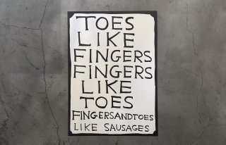 David Shrigley / SLOGANS "Toes like fingers fingers like toes "