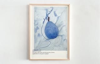 Audrey Fondecave / Blue Olive - Edition -