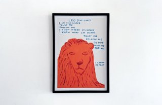 David Shrigley /  Leo ( The Lion )