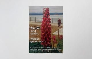 Wolfgang Tillmans / Blumen sind schön. Wählen gehen auch