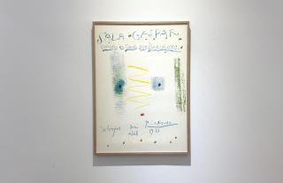 Pablo Picasso / Dibujos de Picasso 