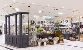 ��߷���ҡ֥���ȥ꡼�ޥ�ץ���å�