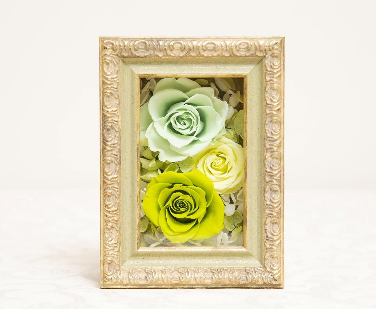 ֥ӥȥꥢܥåץץꥶ֥ɥե ե졼ॢ󥸥ȡСʾ