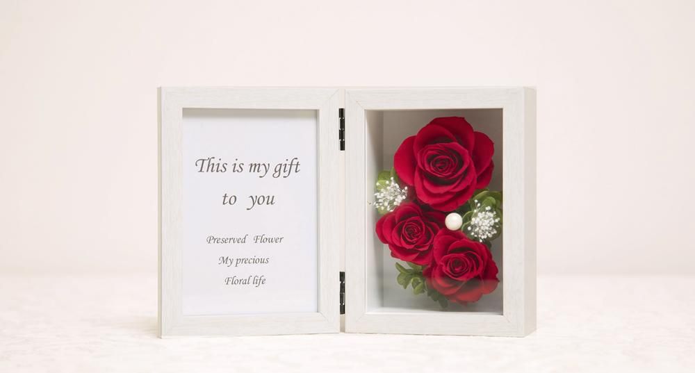 ֤ХΥץꥶ֥ɥեμ̿Ωơʥեȥե졼