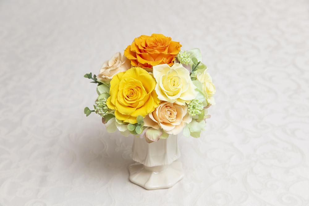 ꡼ΥХΥץꥶ֥ɥե ֥롼