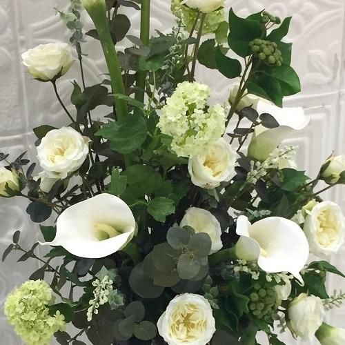 򤤥顼ȥХ餬ڤ䤫礭ʥɷǥץ쥤֡ʹ¤֡