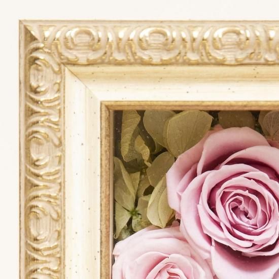 ֥ӥȥꥢܥåסʾ˥ץꥶ֥ɥե ե졼ॢ󥸥 ԥ