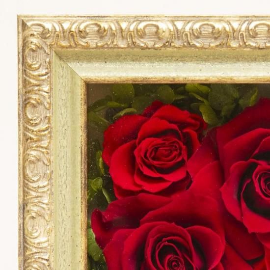 ֥ӥȥꥢܥåס˥ץꥶ֥ɥե ե졼ॢ󥸥 