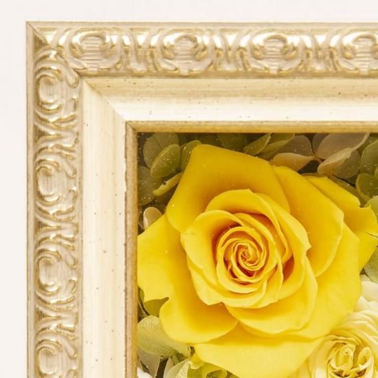 ֥ӥȥꥢܥåסʾ˥ץꥶ֥ɥե ե졼ॢ󥸥  