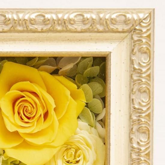 ֥ӥȥꥢܥåסʾ˥ץꥶ֥ɥե ե졼ॢ󥸥  