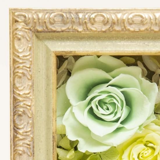 ֥ӥȥꥢܥåסʾ˥ץꥶ֥ɥե ե졼ॢ󥸥 ꡼