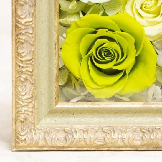 ֥ӥȥꥢܥåץץꥶ֥ɥե ե졼ॢ󥸥ȡ꡼ʾ