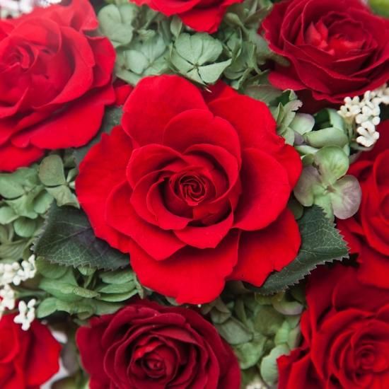 豪華なプリザーブドフラワー エリザベス レッド - カントリーマム
