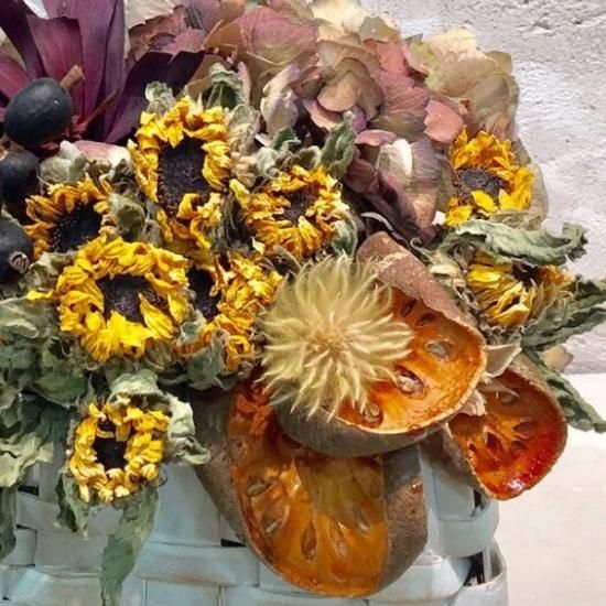 ɱҤޤΥɥ饤ե󥸥 ƥꥢ