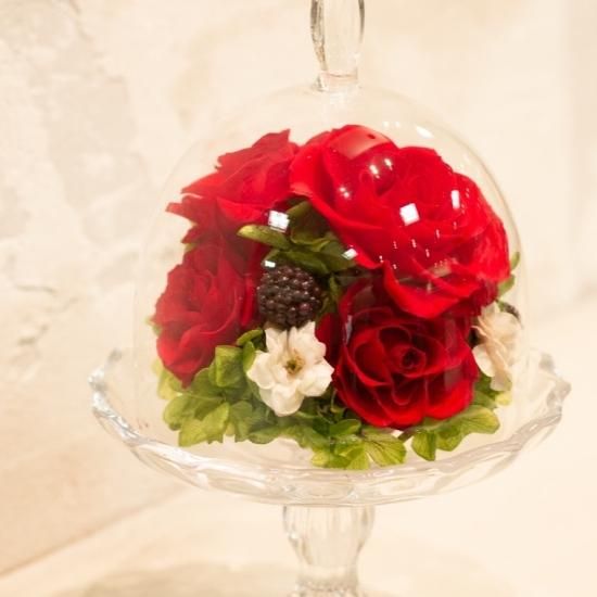 åɤΥץꥶ֥ɥե饹ɡ  