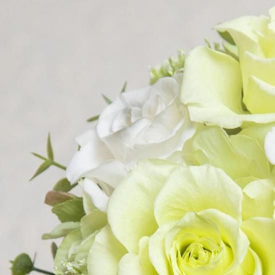 ꡼ΥХΥץꥶ֥ɥե ֥롼