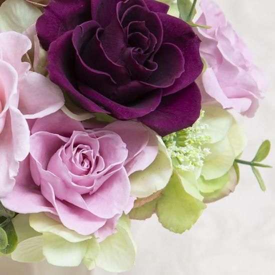 ԥ󥯤ǻΥХΥץꥶ֥ɥե ֥롼