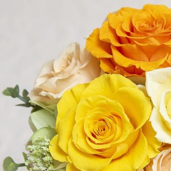 ȥ󥸤ΥХΥץꥶ֥ɥե ֥롼