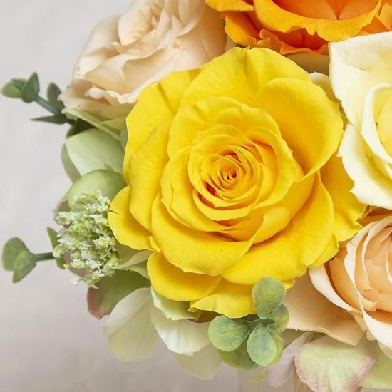 ȥ󥸤ΥХΥץꥶ֥ɥե ֥롼