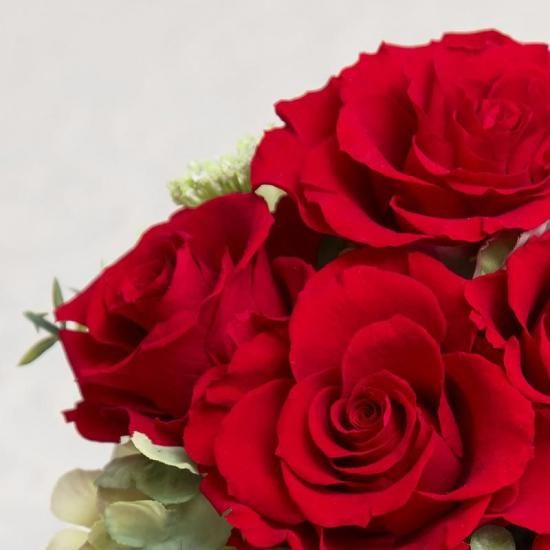 ꡼ΥХΥץꥶ֥ɥե ֥롼