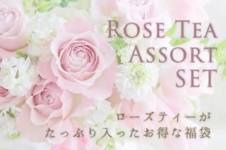 ASB-92RR | 2025 ƥäפꥢȥå<img class='new_mark_img2' src='https://img.shop-pro.jp/img/new/icons16.gif' style='border:none;display:inline;margin:0px;padding:0px;width:auto;' />