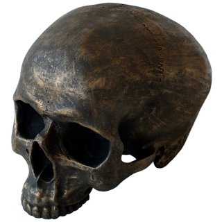 アンティーク ブラッシュゴールド スカルヘッド 顎なし Antique Brush Gold Skull Head Statue