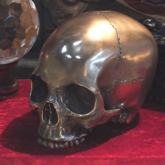 ブロンズスカルヘッド 顎なし Bronze Skull Head Statue -  ネバーランド★スカルグッズ・ドクログッズ・スカル雑貨・通販・販売★～スカル・ゴシック・スチームパンク・ドラゴン・ガーゴイルの通信販売