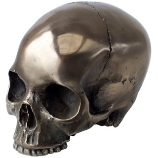 ブロンズスカルヘッド 顎なし Bronze Skull Head Statue