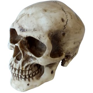 アンティーク スカルヘッド S Small Antique Skull Head Face