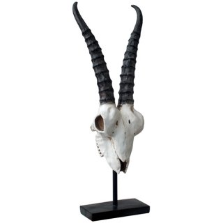 ƱԲġۥƥץإå(ӤƬ)ƥꥢ  ֥ Part Antelope Skull on Stand  Part