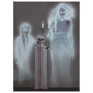 ȥ륹꡼ Ghostly Spirits Haunted Ghosts Decor