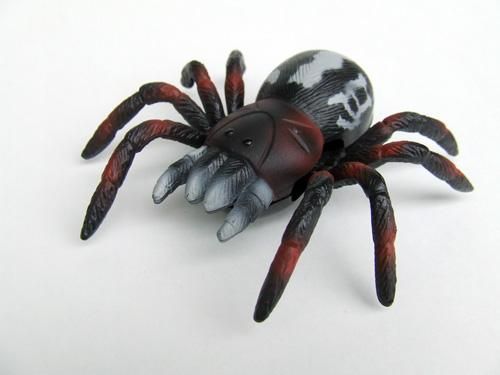 忍者蜘蛛 スパイダー RE - 不思議雑貨店ネバーランド