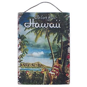 ϥ磻ơԥ㡼 åɥץ顼() Colorful Hawaii