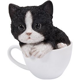 ƥåinɥå 塼 ǭ /ǭʪ Teacup Kitten Tuxedo Cat Statue