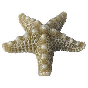 <img class='new_mark_img1' src='https://img.shop-pro.jp/img/new/icons14.gif' style='border:none;display:inline;margin:0px;padding:0px;width:auto;' />ҥȥ LED ɥ STARFISH LED CANDLE