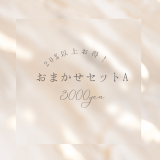 【600円以上のおまけ付き】おまかせセットA