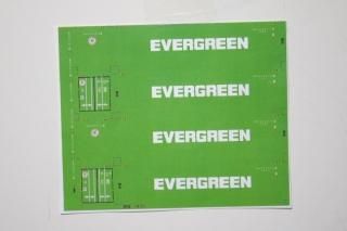 ft女ƥѥǥEVERGREEN