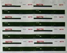12ft ݎÎŎÎގ  SATTU