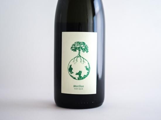 ⭐︎さま専用ヴェルリッチ Morillon vom Opok ,Ex vero I MORILLON VOM OPOK 2021 WERLITSCH / モリヨン・フォン