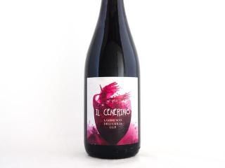 ֥륹롦ͥ꡼ 2019 / ݥǡ졦