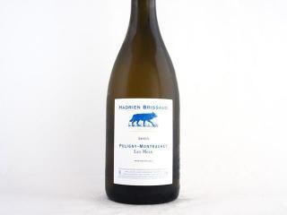 ԥˡå졦 2023 / ɥꥢ󡦥֥꥽