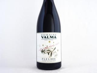 ե롼꡼졦֥ 2023 / ɥ᡼̡