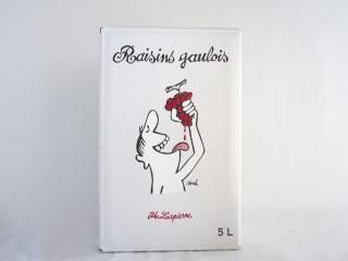 쥶󡦥Хå󡦥ܥå 2024 (5000ml) / ޥ륻롦ԥ